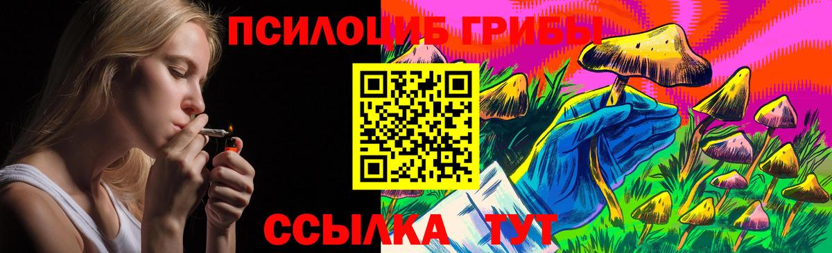 Псилоцибиновые грибы Cubensis  купить наркотик  Сатка  Вход с VPN 